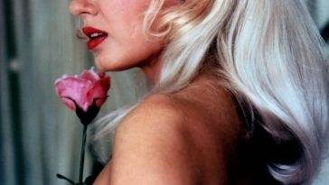 Mamie Van Doren Nude on fanspics.com