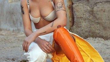 Halsey Nude LEAKED The Fappening & Sexy (206 Photos, Porn Video & Sexy Edits) [Updated] on fanspics.com