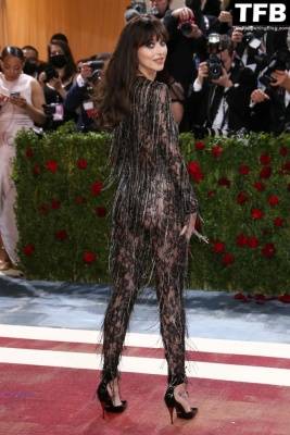 Dakota Johnson Stuns in a See-Through Outfit at The 2022 Met Gala in NYC on fanspics.com