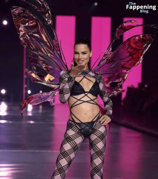 Adriana Lima Stuns at the Victoria’s Secret Fashion Show (80 New Photos) on fanspics.com