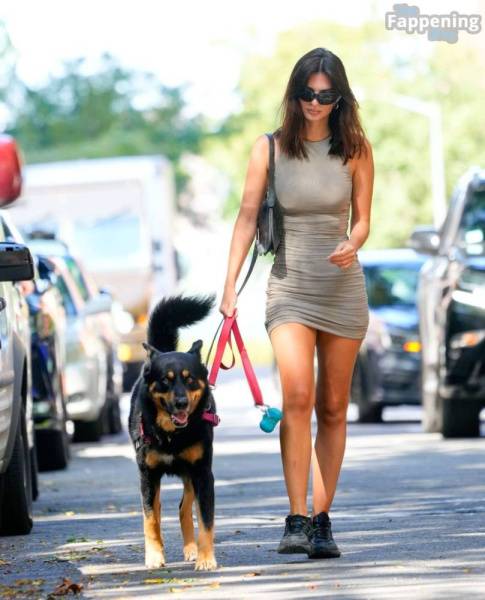 Emily Ratajkowski Looks Hot in a Mini Dress While Walking Her Dog in NYC (32 Photos) on fanspics.com