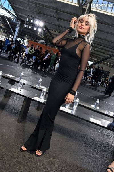 Camila Cabello Shows Off Her Pokies in a Black Dress at the Off-White Fashion Show (82 Photos) on fanspics.com